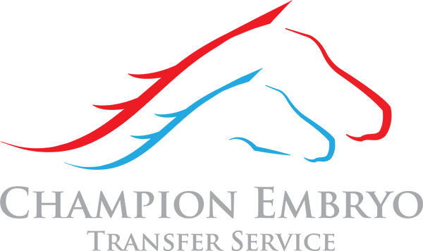 Champion Embryo Transfer Service